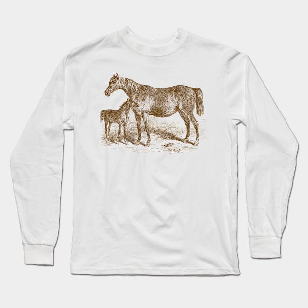 Arabian Horse Mare and Foal Vintage Illustration Long Sleeve T-Shirt by Biophilia